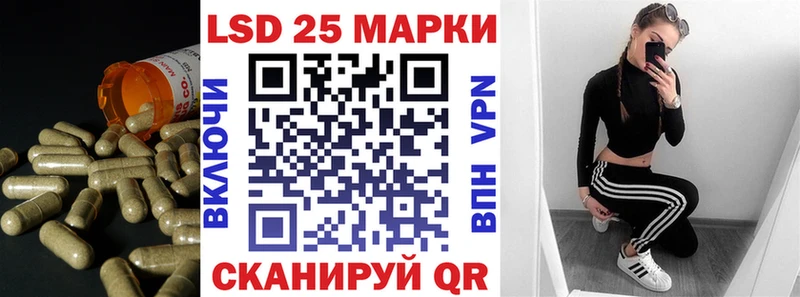 дарнет шоп  Белорецк  OMG ссылки  ЛСД экстази кислота 