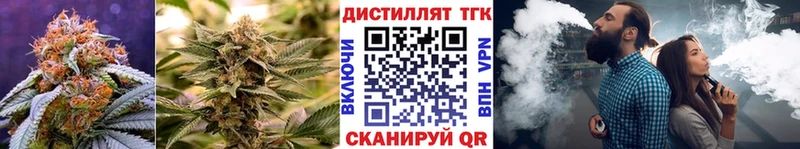 ТГК вейп  дарнет шоп  kraken ССЫЛКА  Белорецк 