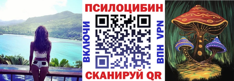 где можно купить   Белорецк  Псилоцибиновые грибы MAGIC MUSHROOMS 