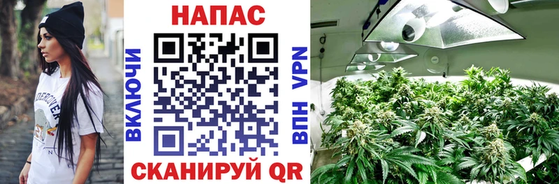 Канабис THC 21% дарк нет состав Белорецк